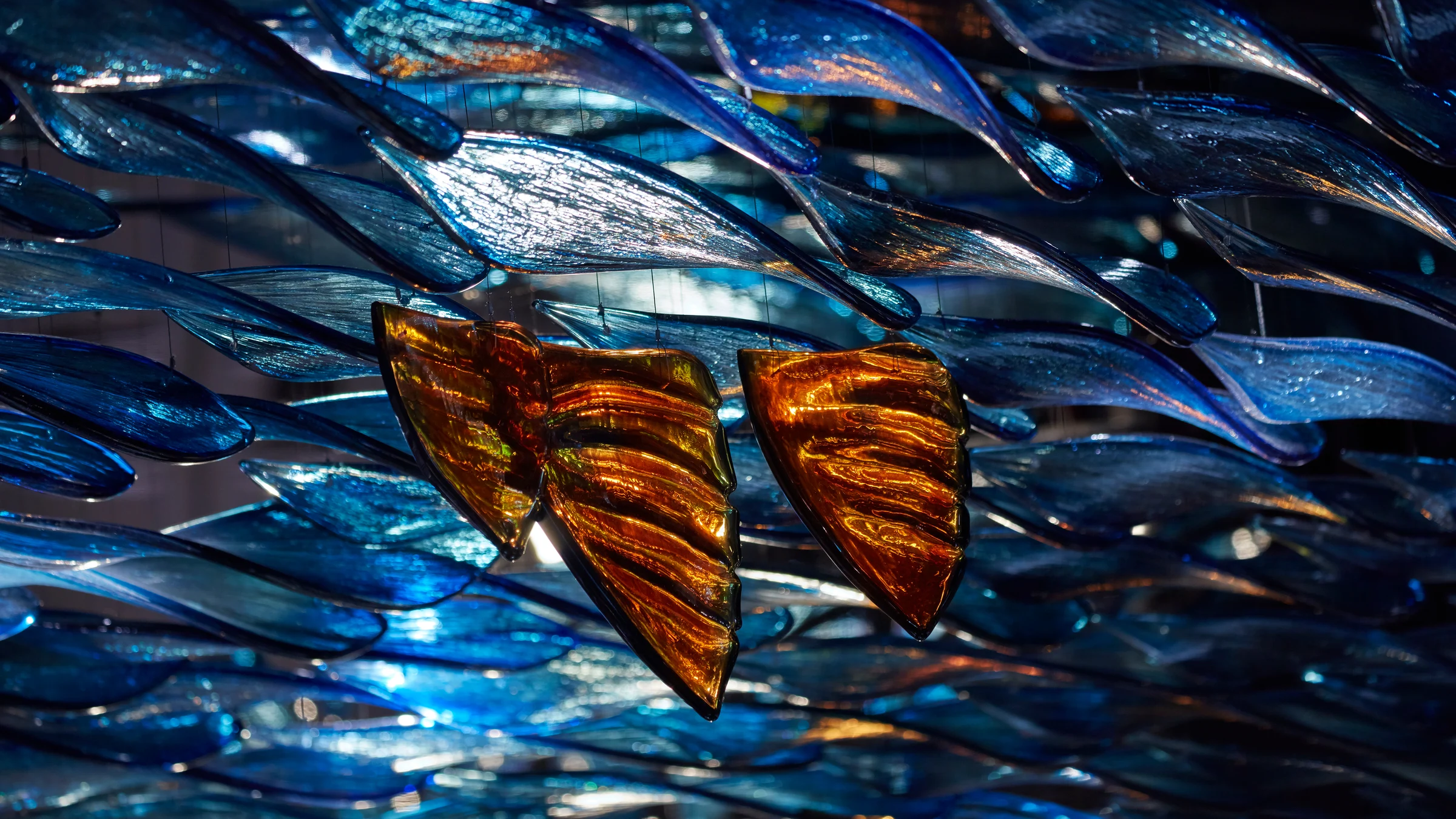 Corporate Publications